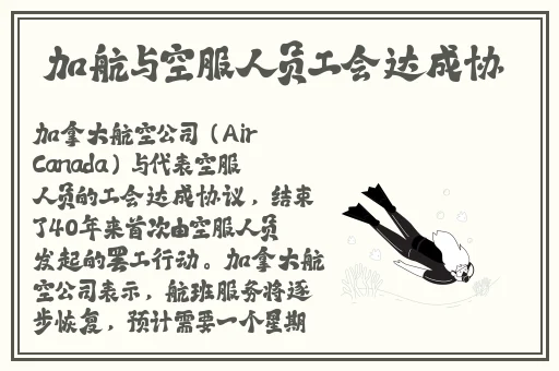 星空天美mv视频大全免费观看